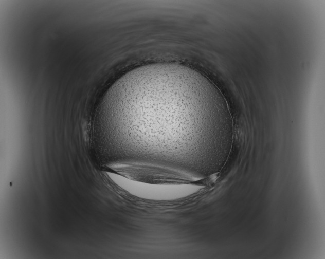 X0000086091490200704132114