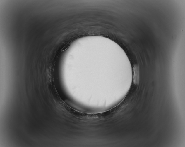 X0000086091491200704132114