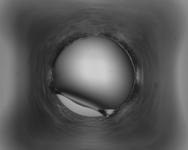 X0000086091492200704132114