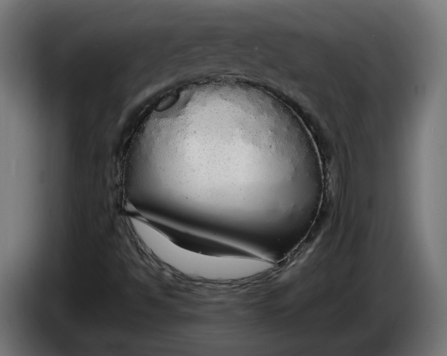 X0000086091494200704132114