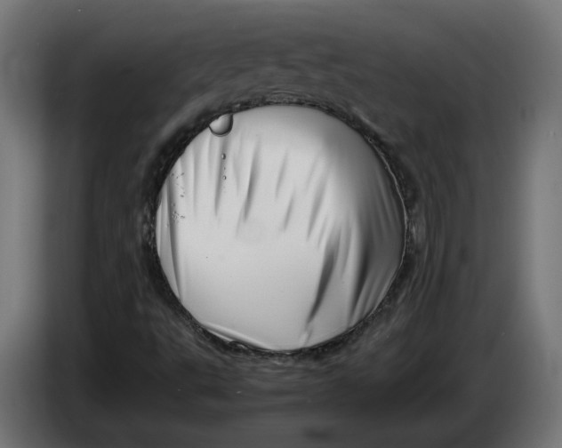 X0000086091495200704132114