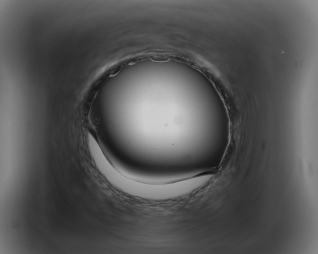 X0000086091496200704132114