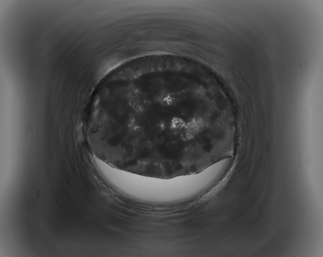 X0000086091497200704132114