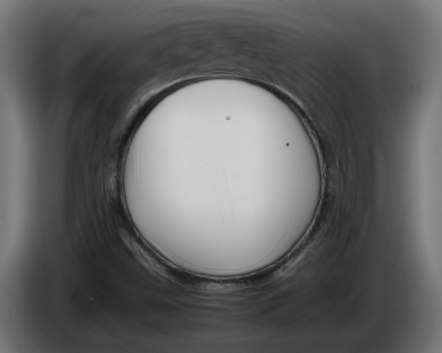 X0000086091499200704132114