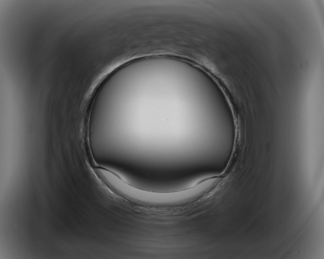 X0000086091500200704132114