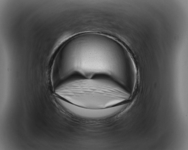 X0000086091501200704132114