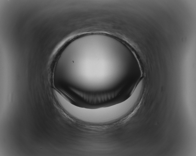 X0000086091502200704132114