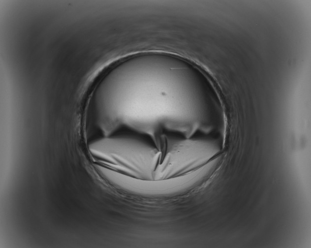 X0000086091503200704132114