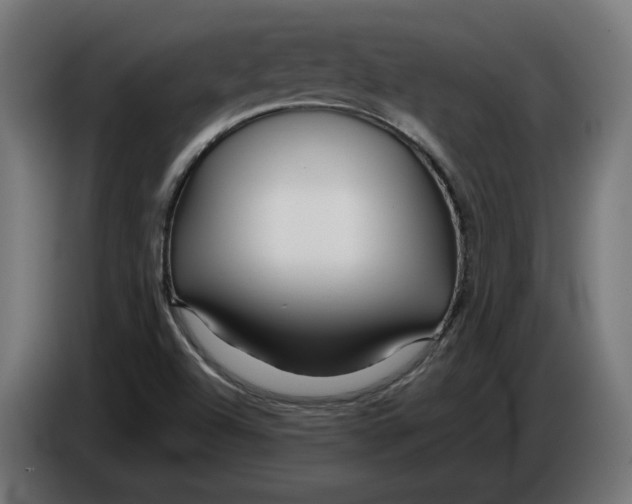 X0000086091504200704132114