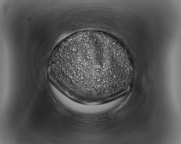 X0000086091505200704132114