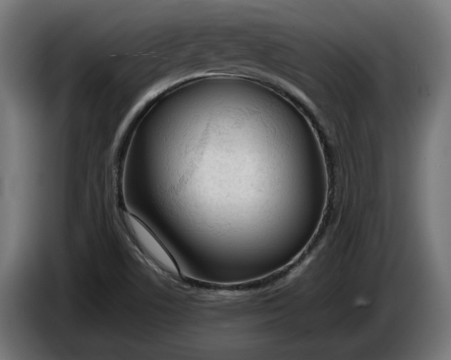 X0000086091506200704132114