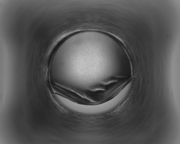 X0000086091507200704132114