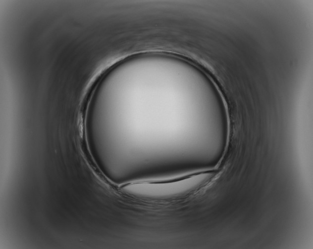 X0000086091509200704132114