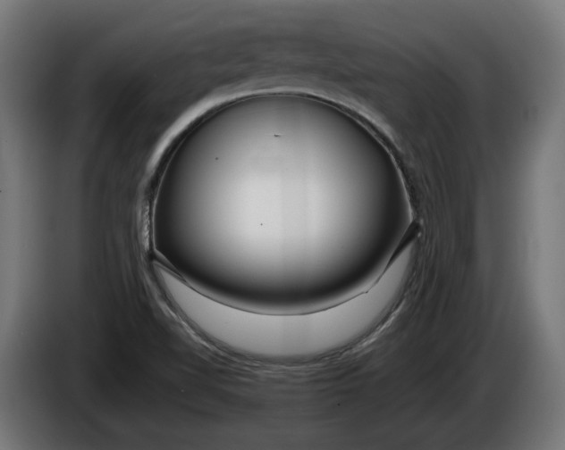 X0000086091510200704132114