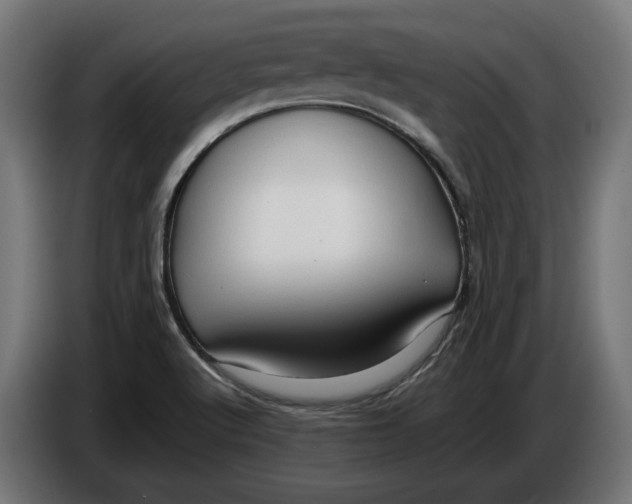 X0000086091512200704132114