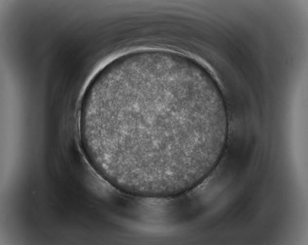 X0000086091514200704132114