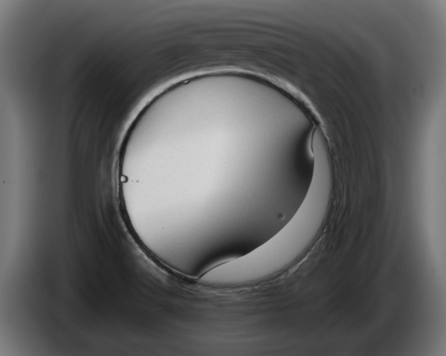 X0000086091516200704132114