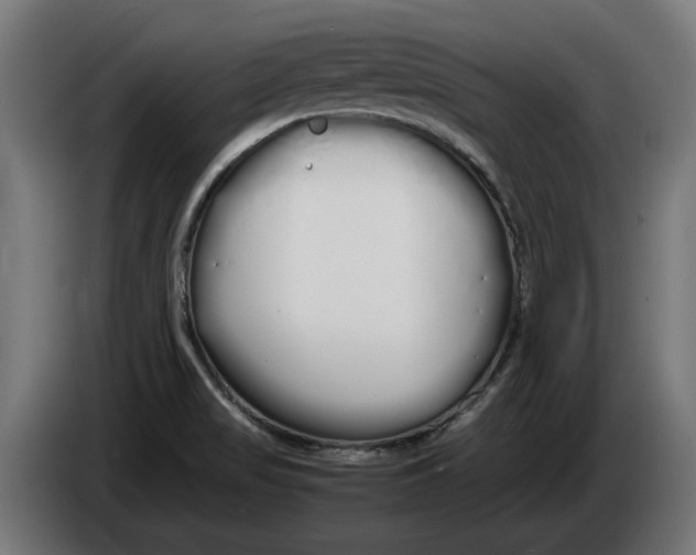 X0000086091517200704132114