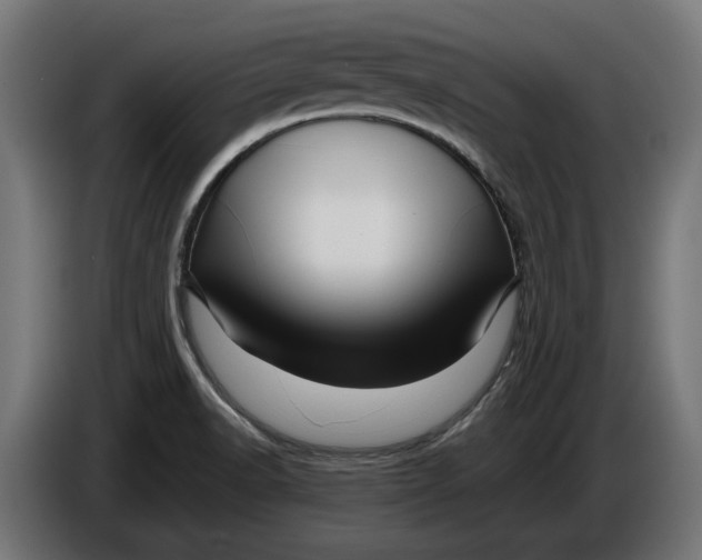 X0000086091518200704132114