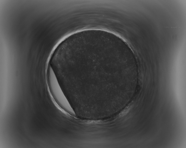 X0000086091519200704132114