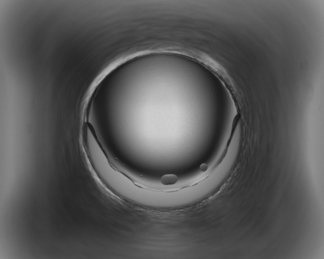 X0000086091520200704132114