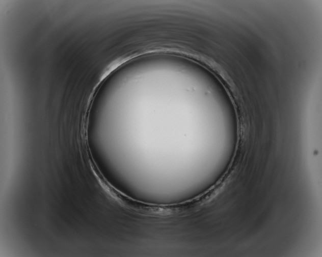 X0000086091521200704132114