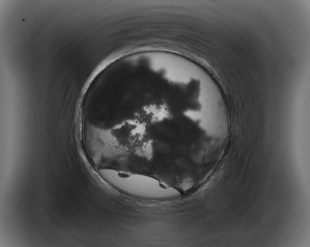 X0000086091522200704132114