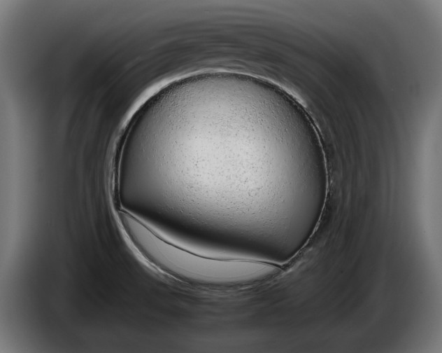 X0000086091523200704132114