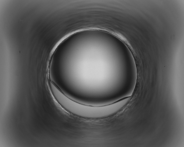 X0000086091524200704132114