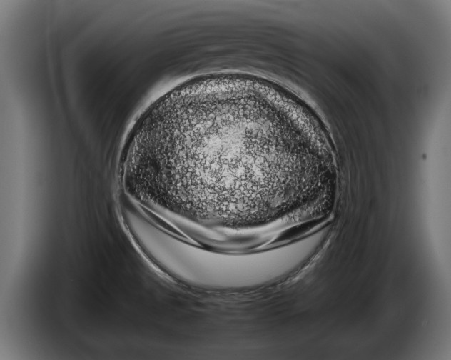 X0000086091525200704132114