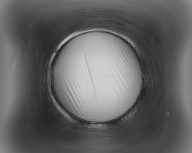 X0000086091526200704132114