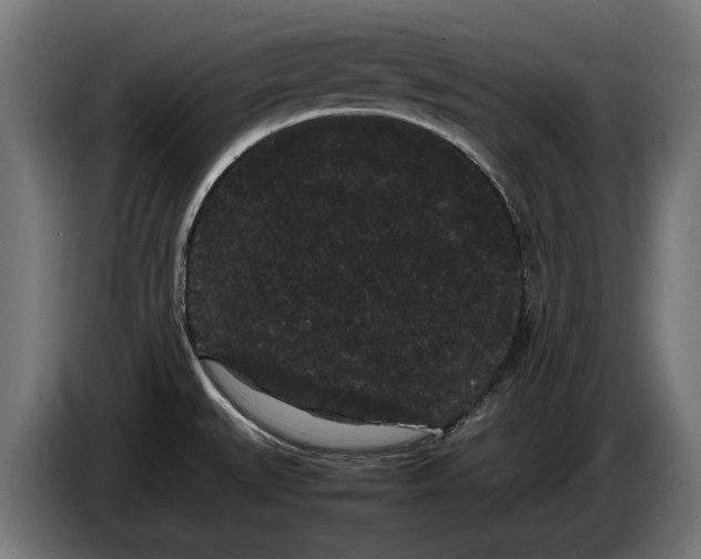 X0000086091527200704132114