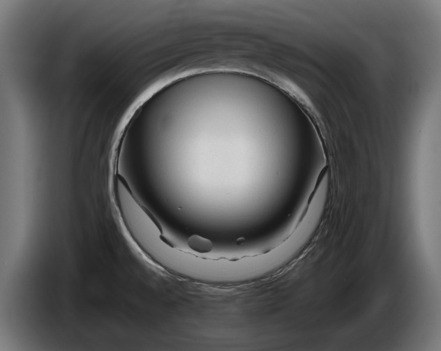 X0000086091528200704132114