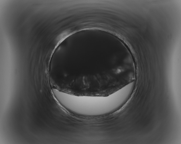 X0000086091529200704132114