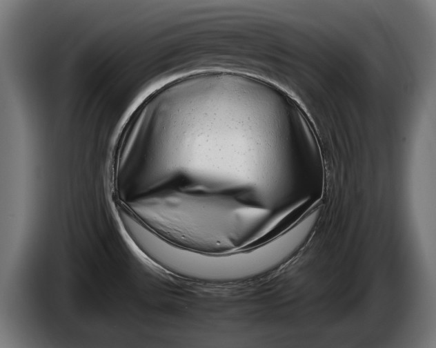 X0000086091531200704132114