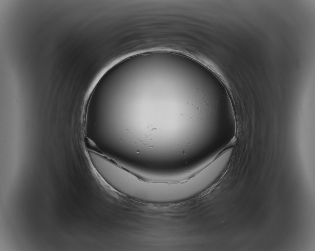 X0000086091532200704132114