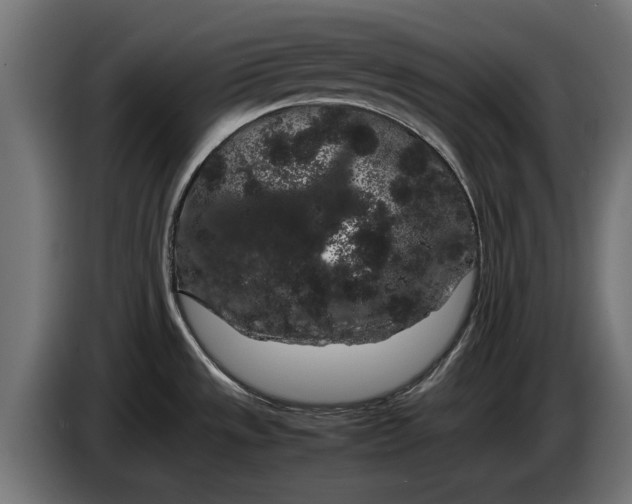 X0000086091533200704132114