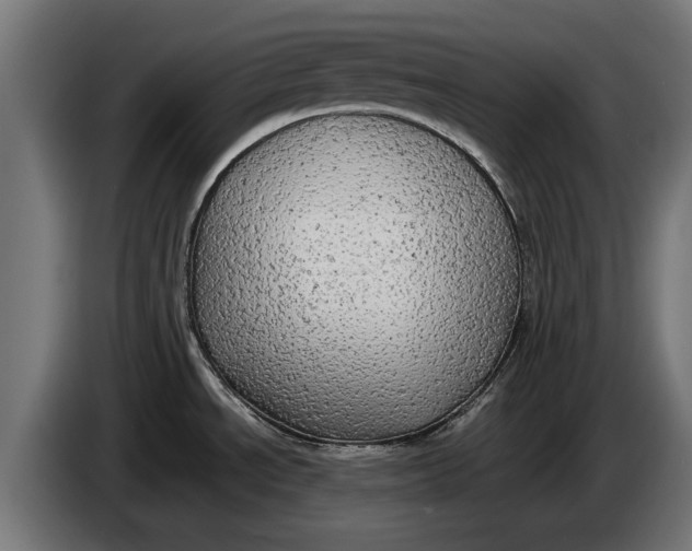 X0000086091534200704132114