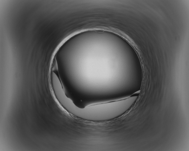 X0000086091536200704132114