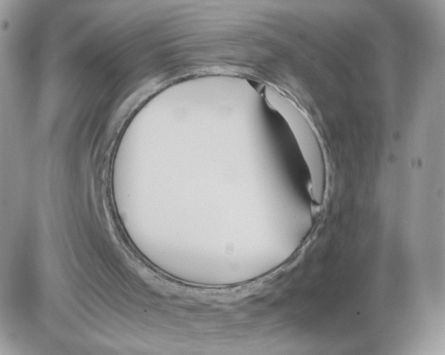 X0000086090001200704202228