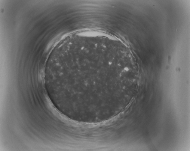 X0000086090002200704202228