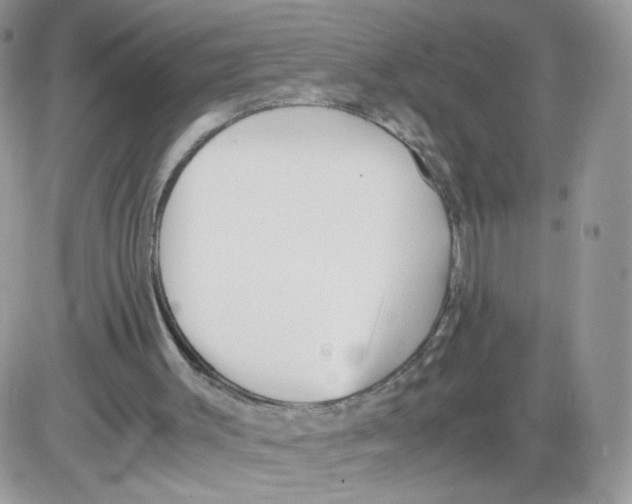 X0000086090003200704202228