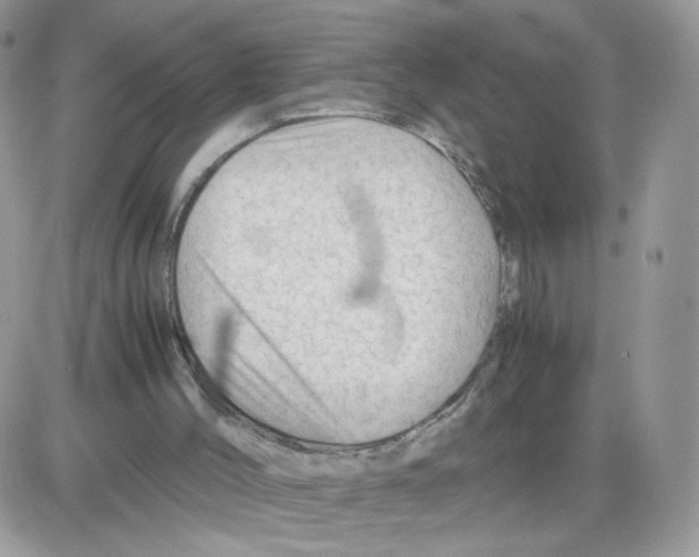 X0000086090004200704202227