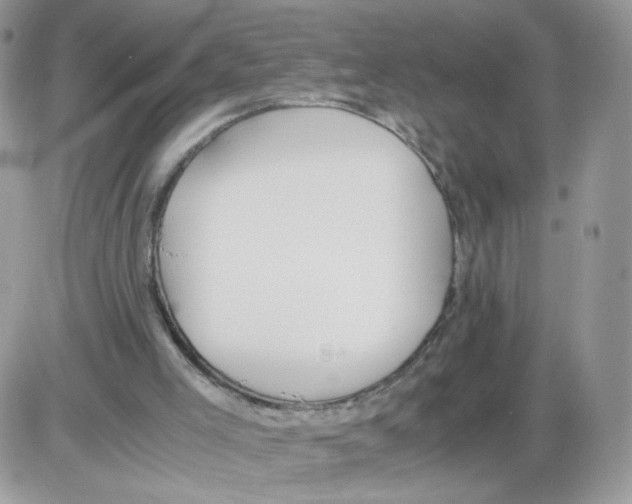 X0000086090005200704202227