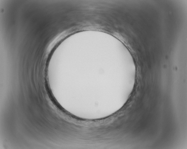 X0000086090007200704202227