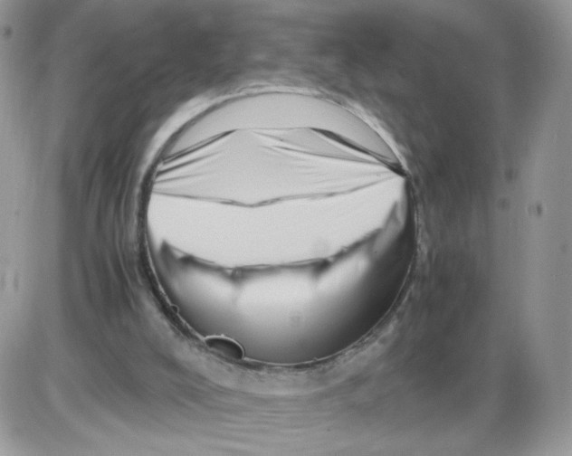 X0000086090008200704202227