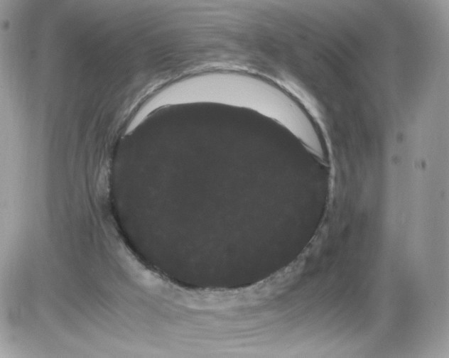 X0000086090009200704202227