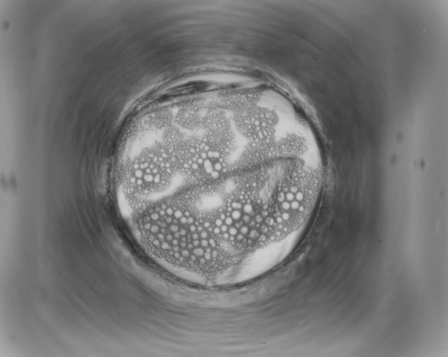 X0000086090010200704202227