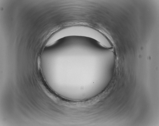 X0000086090013200704202227