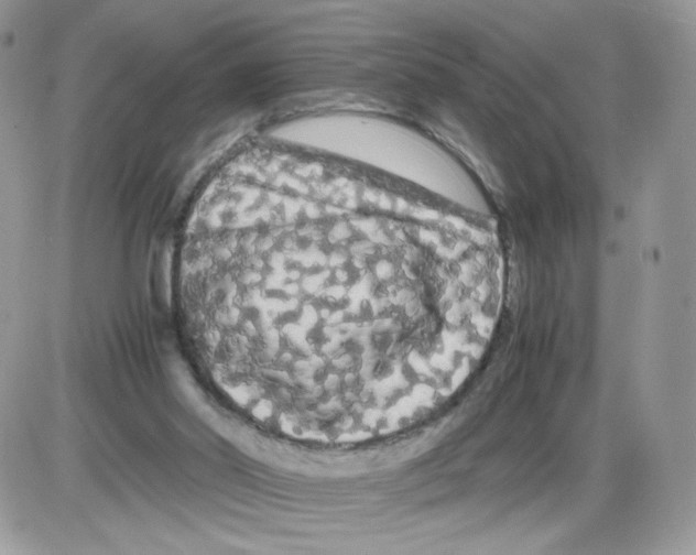 X0000086090014200704202227